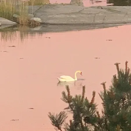 Villa Yksityinen Saari Ulkomerellae! *