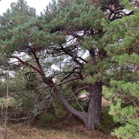Villa Yksityinen Saari Ulkomerellae! *